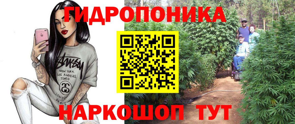 Каннабис гибрид Ахтубинск